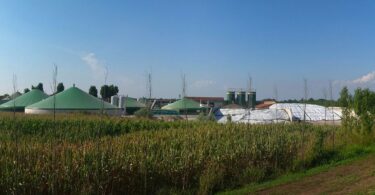 Smarte, vollautomatische Biogasanlagen