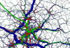 Mathematisches Modell von Verkehrsströmen