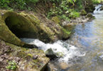 Water Research: Schadstoffe auch in gereinigtem Abwasser