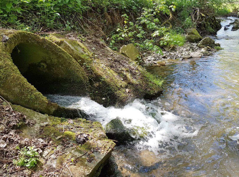 Water Research: Schadstoffe auch in gereinigtem Abwasser