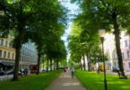 Stadtgrün reduziert CO₂-Emissionen
